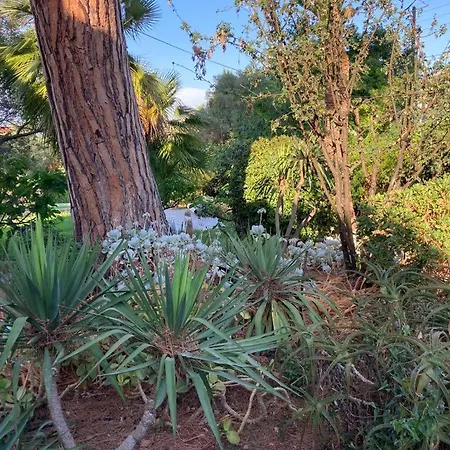 别墅 Magnifique Avec Piscine *