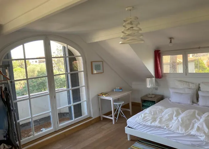 Magnifique Avec Piscine Villa Antibes